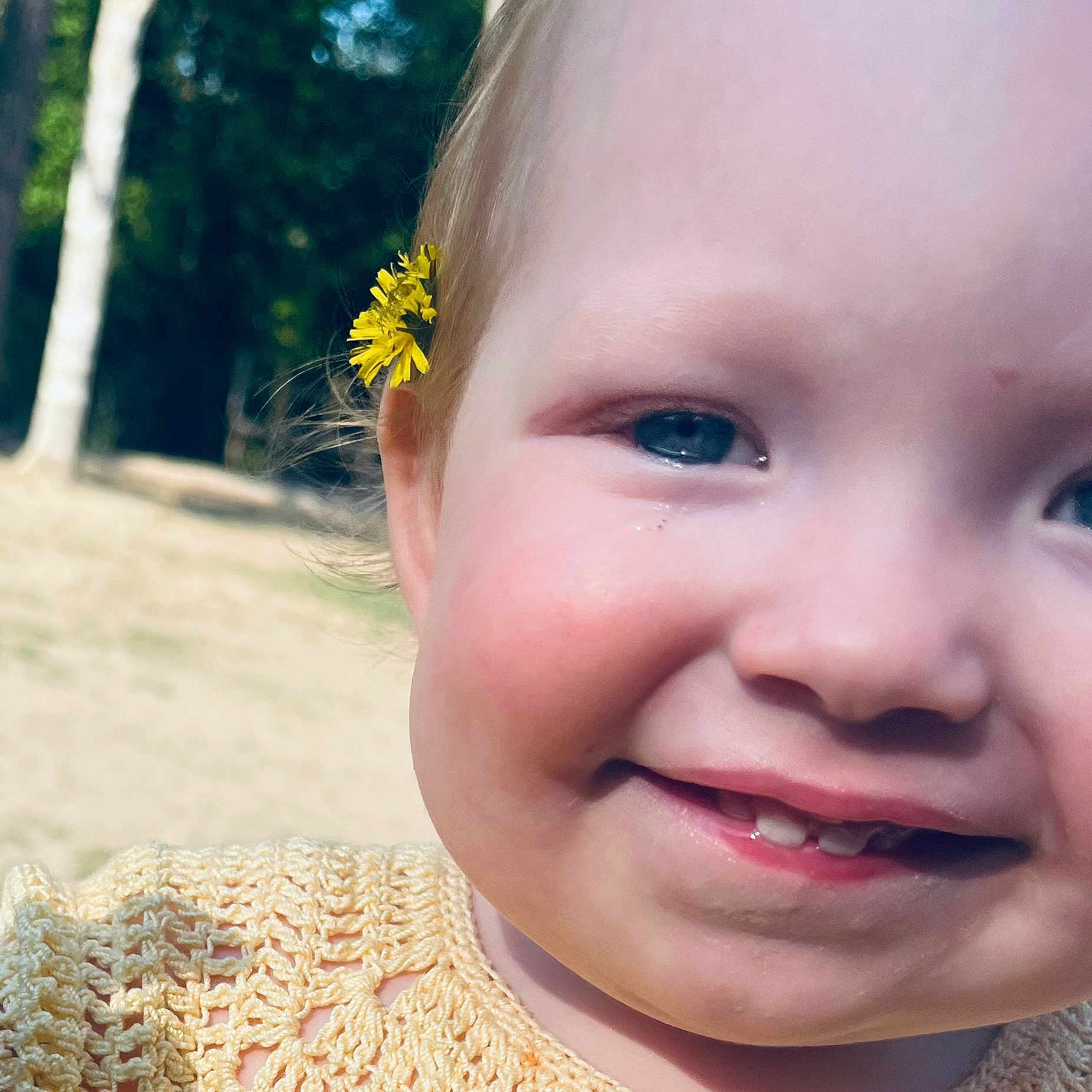 Adalynn is registered to the contest to win money with this photo: toddler, child, face, smile, flower, yellow_flower, outdoor, nature, grass, tree, blue_eyes, cheeks, baby_teeth, close_up, portrait, happy, cute, skin, head, hair