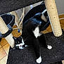 cat, tuxedo_cat, cat_tree, black_and_white, indoor, feline, relaxed, stretching, pet, fur, whiskers, paw, scratching_post, home, animal, resting, cozy, play_structure, tile_floor, hammock