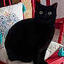 black_cat, cat, pet, animal, chair, red_chair, cushion, white_cushion, tassels, indoor, home, green_eyes, feline, sitting, fur, looking, domestic, cozy, decor, wooden_furniture