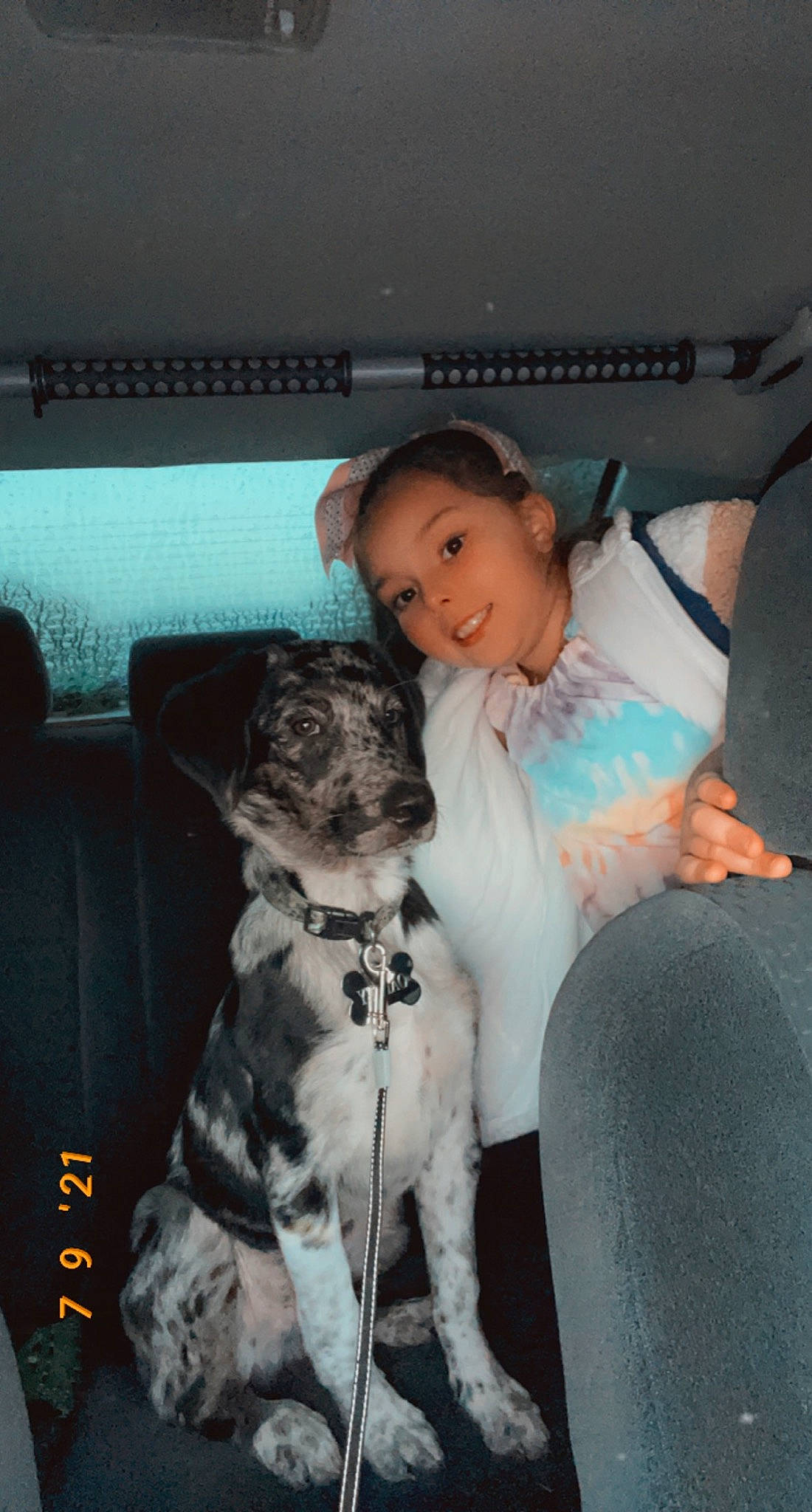 Oakley is registered to the contest to win money with this photo: car, car_seat, car_seat_cover, comfort, companion_dog, dog, dog_breed, family_car, fawn, flash_photography, fun, happy, lap, leg, luxury_vehicle, sitting, smile, thigh, toddler, vehicle_door