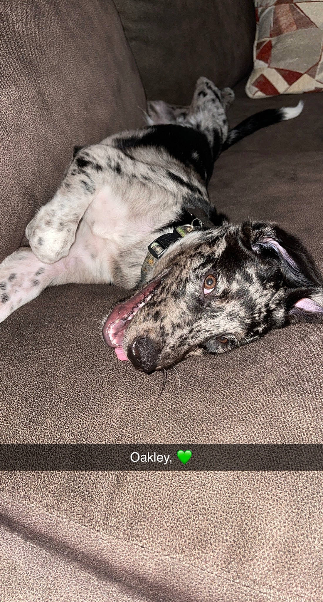 Oakley