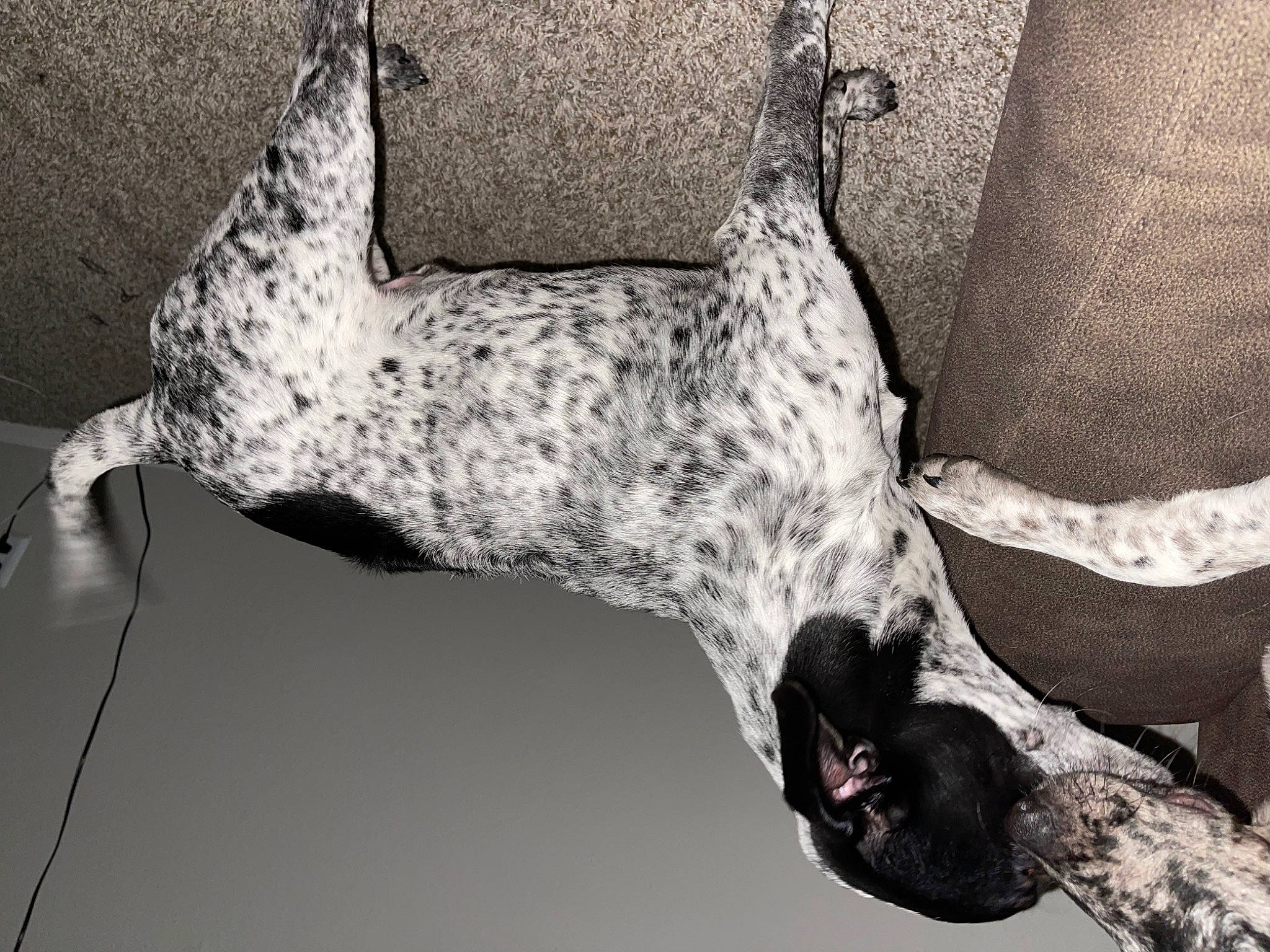 Chewey is registered to the contest to win money with this photo: art, black, black_and_white, building, elbow, gesture, grey, hand, head, leg, monochrome, monochrome_photography, organism, plant, sculpture, snout, style, trunk, water