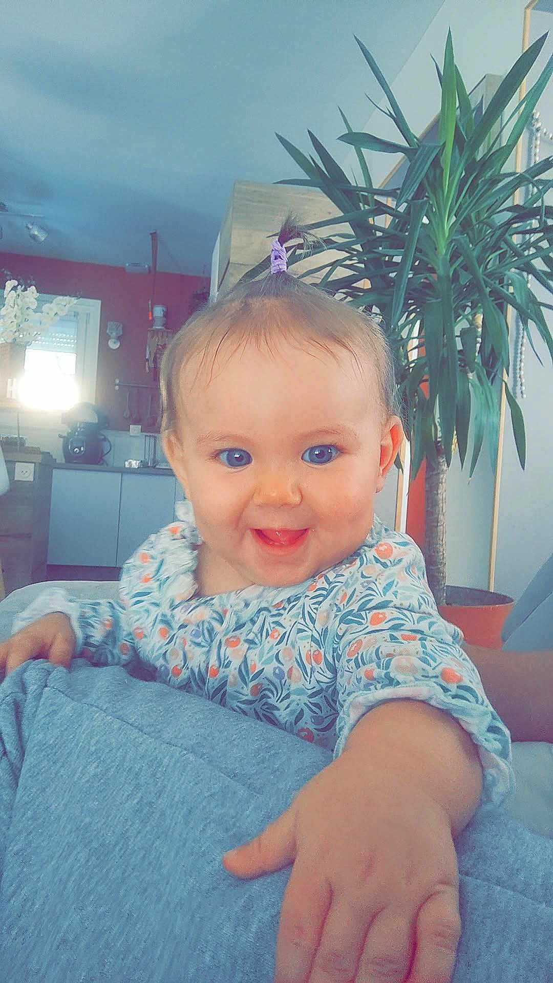 Alba a rejoint le concours — aidez-le/la à gagner de superbes lots ! baby, child, smile, happy, indoor, plant, couch, hand, face, person, home, furniture, living_room, clothing, blue_eyes, hair_tie, patterned_shirt, curly_hair, cute, portrait