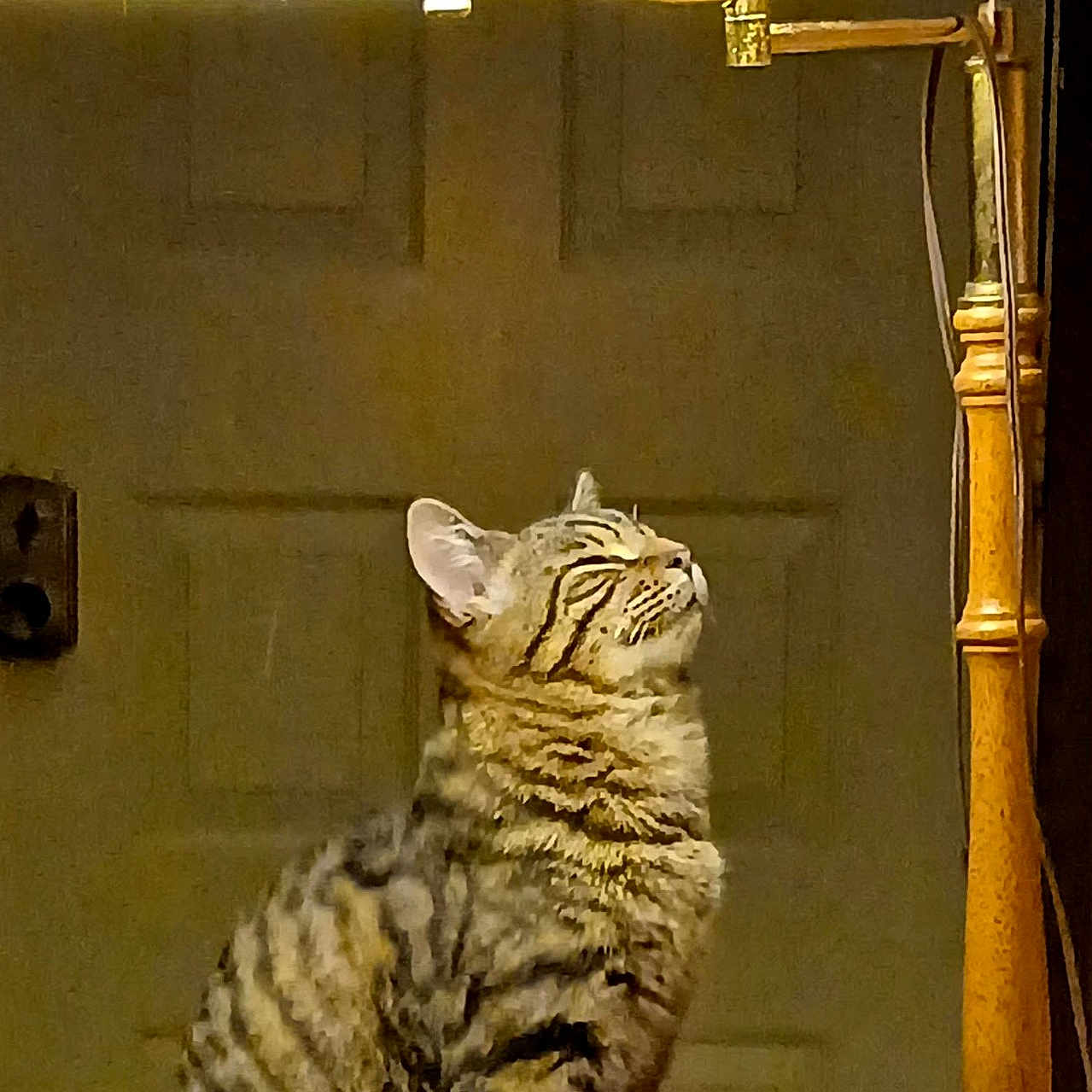 Tigger