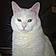 Snowball