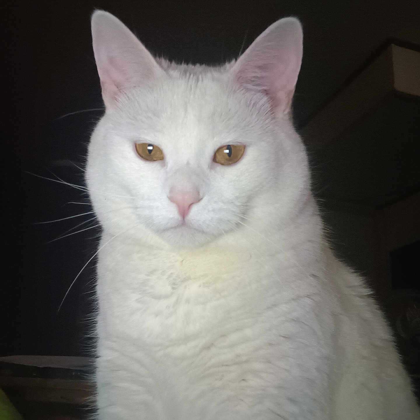 Snowball