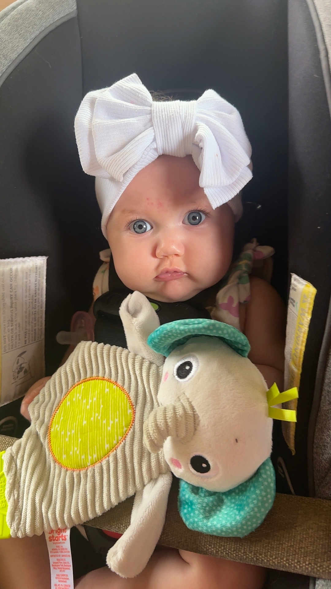 Violet is registered to the contest to win money with this photo: baby, child, car_seat, white_bow, plush_toy, blue_eyes, face, clothing, toddler, infant, cute, portrait, soft_toy, seatbelt, indoor, person, headwear, expression, closeup, seat