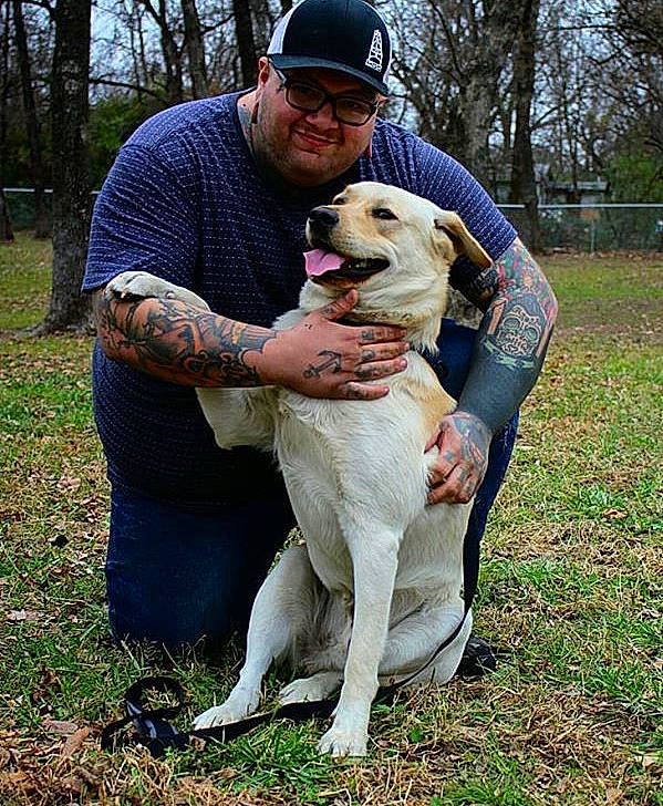 Copenhagen is registered to the contest to win money with this photo: anatolian_shepherd_dog, canidae, carnivore, central_asian_shepherd_dog, companion_dog, dog, dog_breed, fawn, labrador_retriever, mammal, perro_de_presa_mallorquin, sporting_group, vertebrate