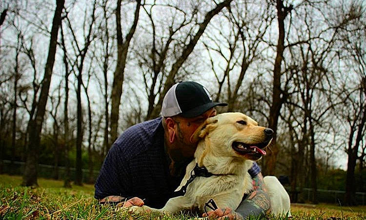 Copenhagen is registered to the contest to win money with this photo: canidae, carnivore, companion_dog, dog, dog_breed, golden_retriever, grass, labrador_retriever, photography, retriever, snout, sporting_group