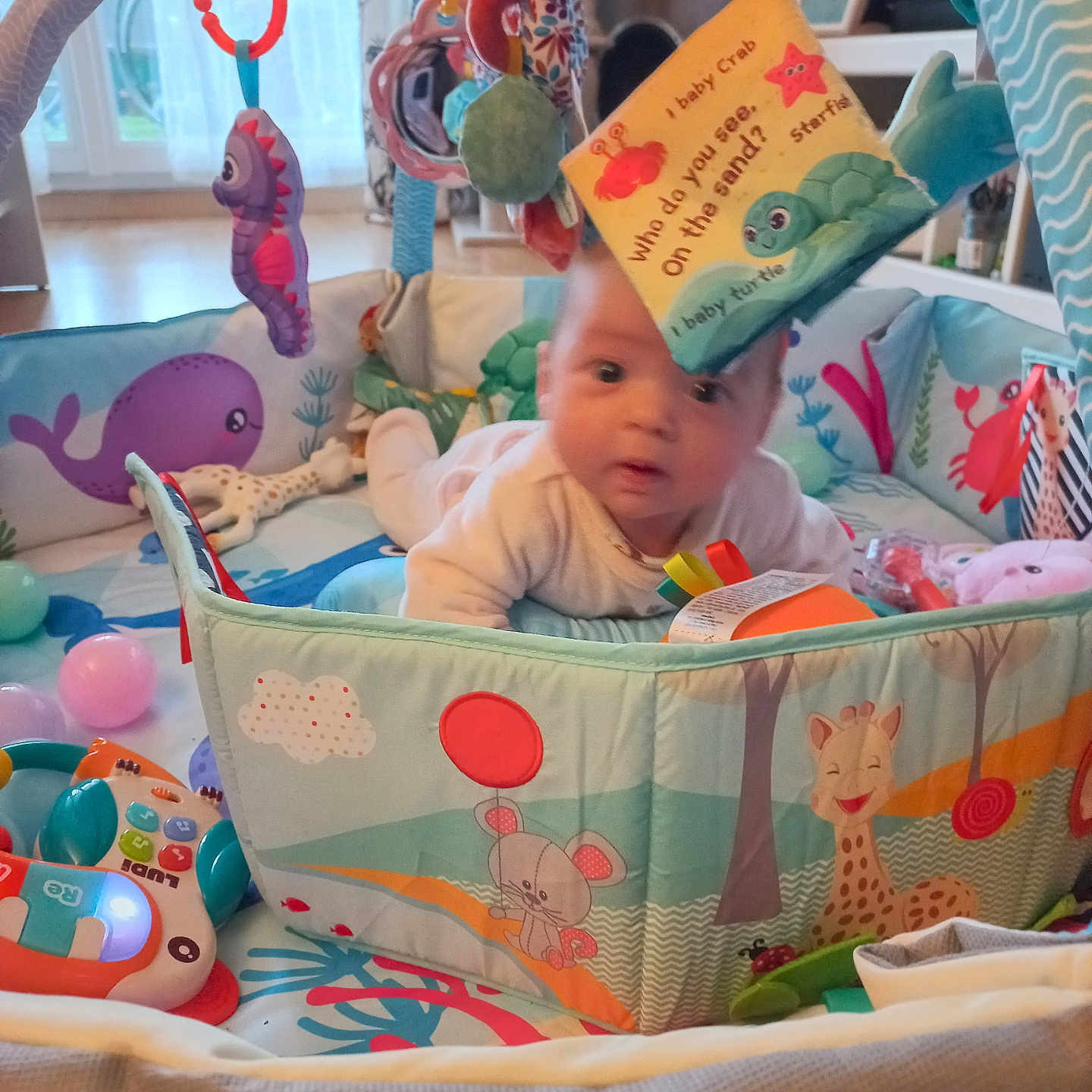 Lyana a rejoint le concours — aidez-le/la à gagner de superbes lots ! baby, bed, clothing, couch, cradle, crib, cushion, face, furniture, hat, head, homedecor, indoors, infantbed, nursery, person, photography, portrait, room, toy