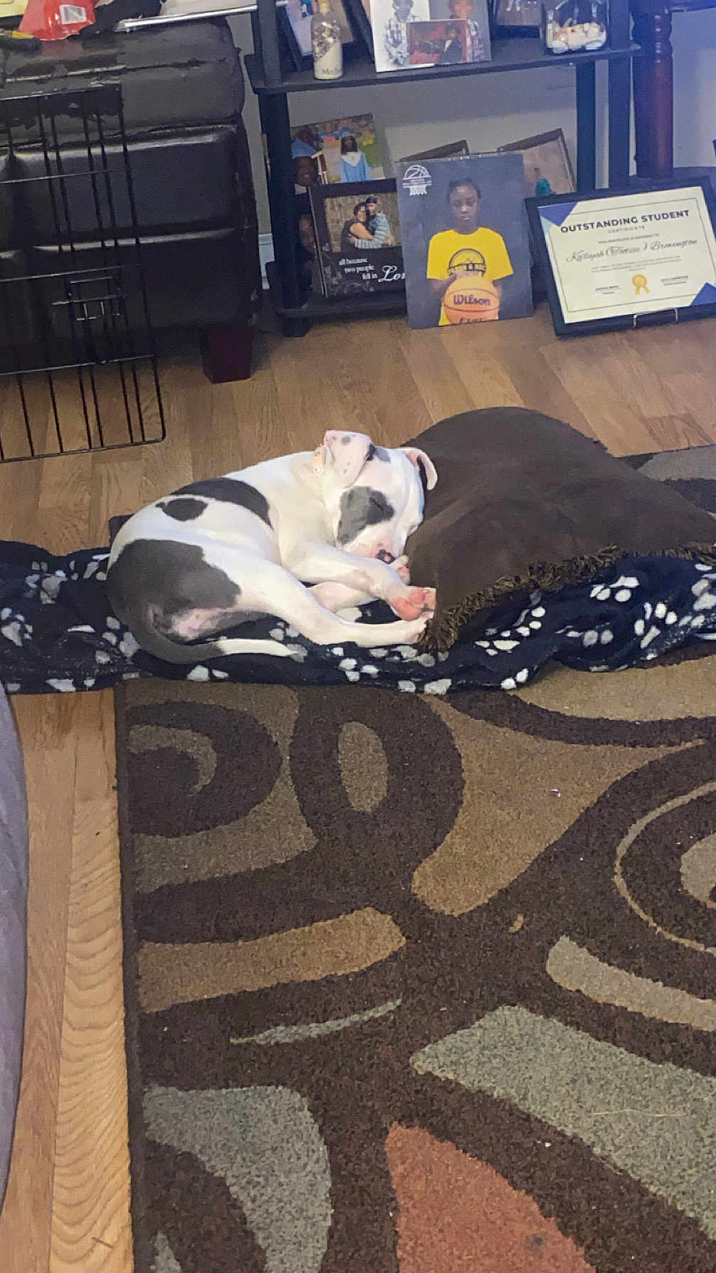 Lulu