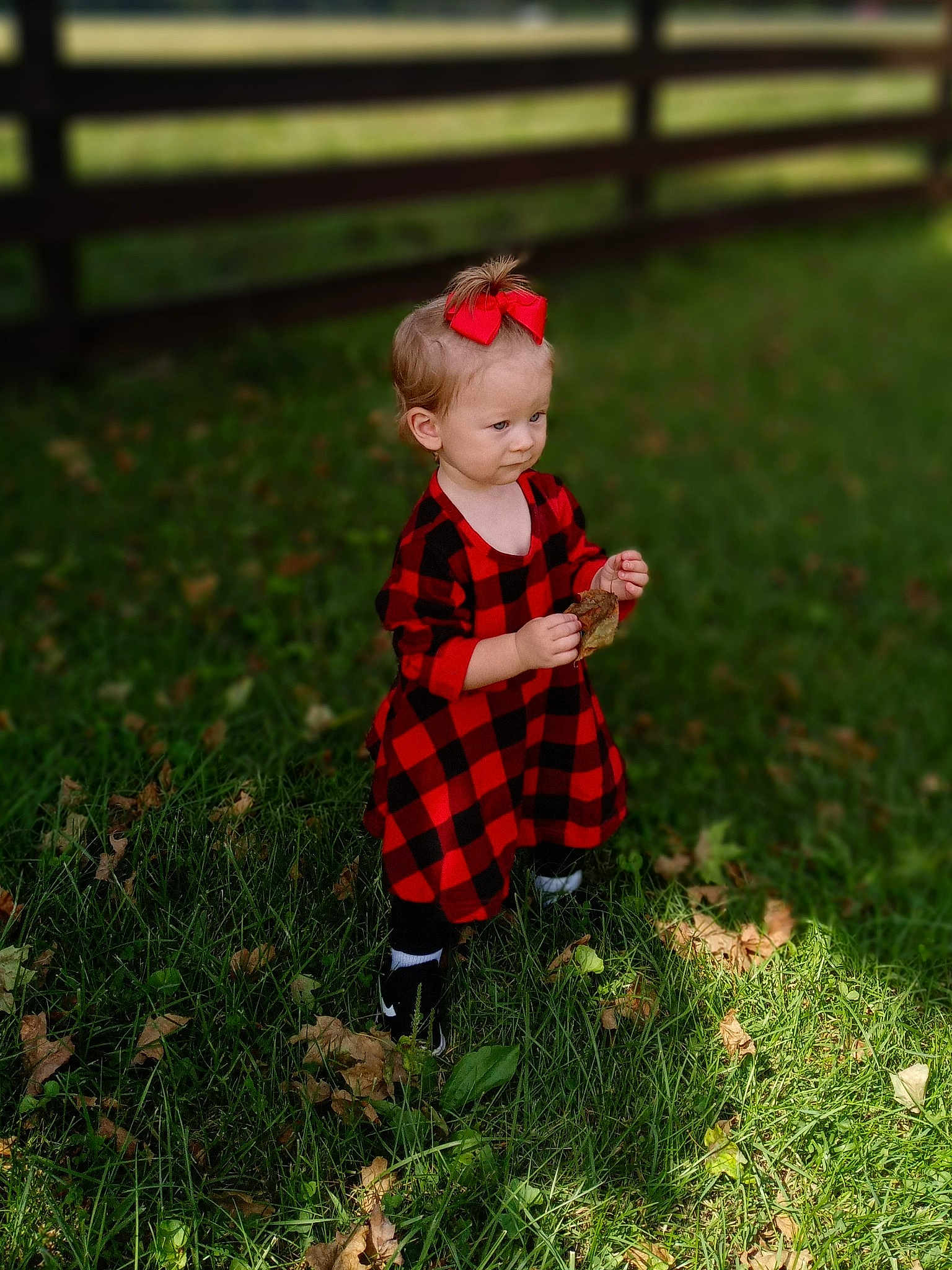 Madison