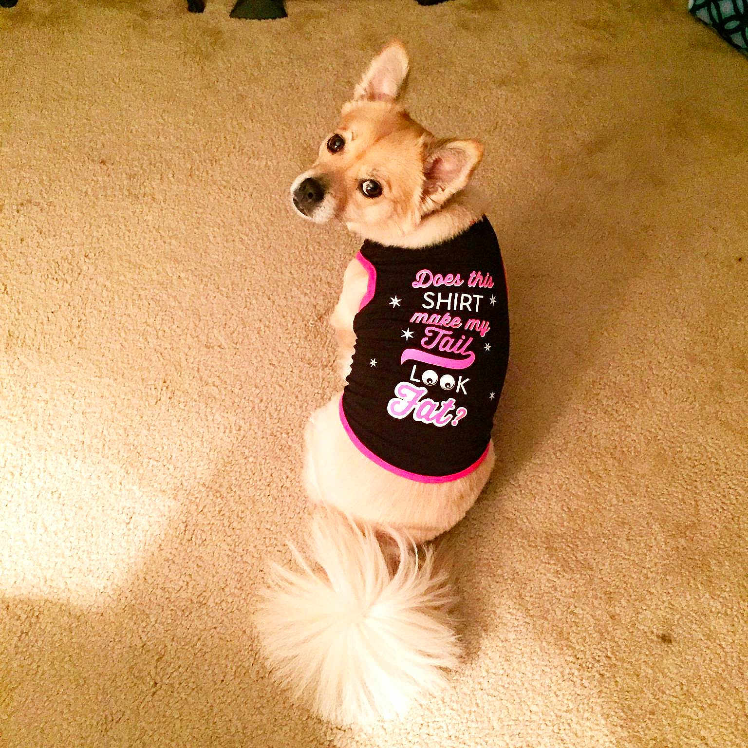 Bridget joined the competition — help win amazing prizes!