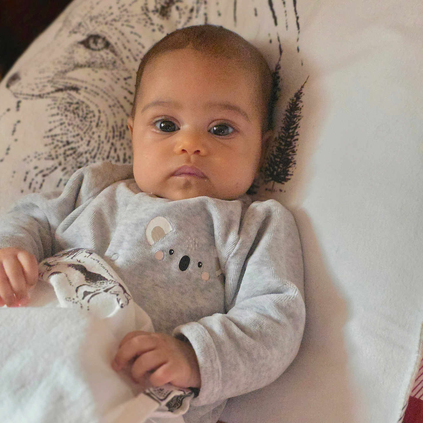 Daphney a rejoint le concours — aidez-le/la à gagner de superbes lots ! animal_print, baby, bed, blanket, child, comfort, cozy, cute, expression, face, hand, indoor, infant, koala, lying_down, onesie, portrait, sleepwear, soft_texture, young