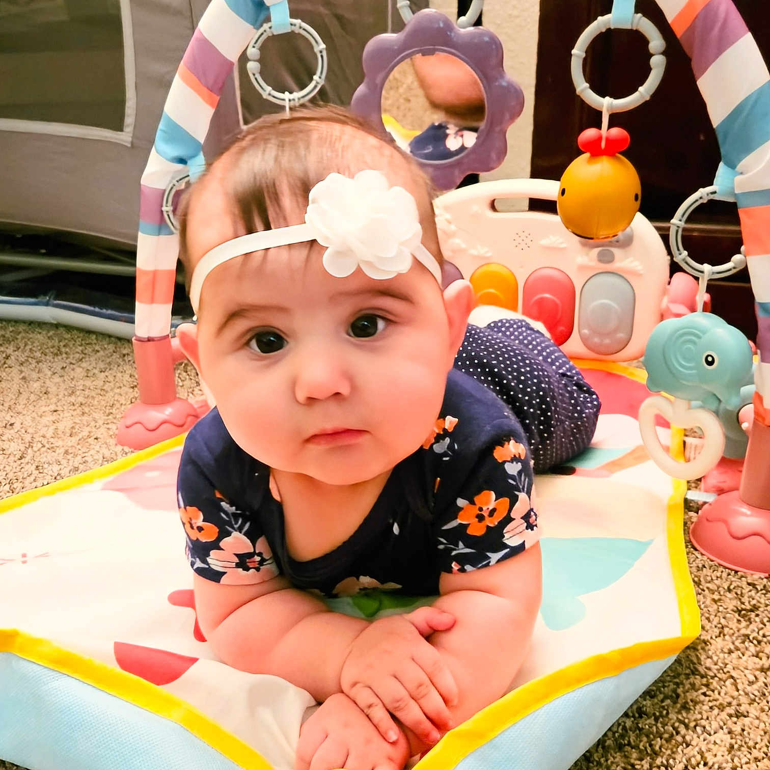Caylie joined the competition — help win amazing prizes! accessories, baby, balloon, clothing, cream, cushion, dessert, face, food, hat, head, homedecor, icing, indoors, outdoorplayarea, outdoors, person, photography, playarea, portrait