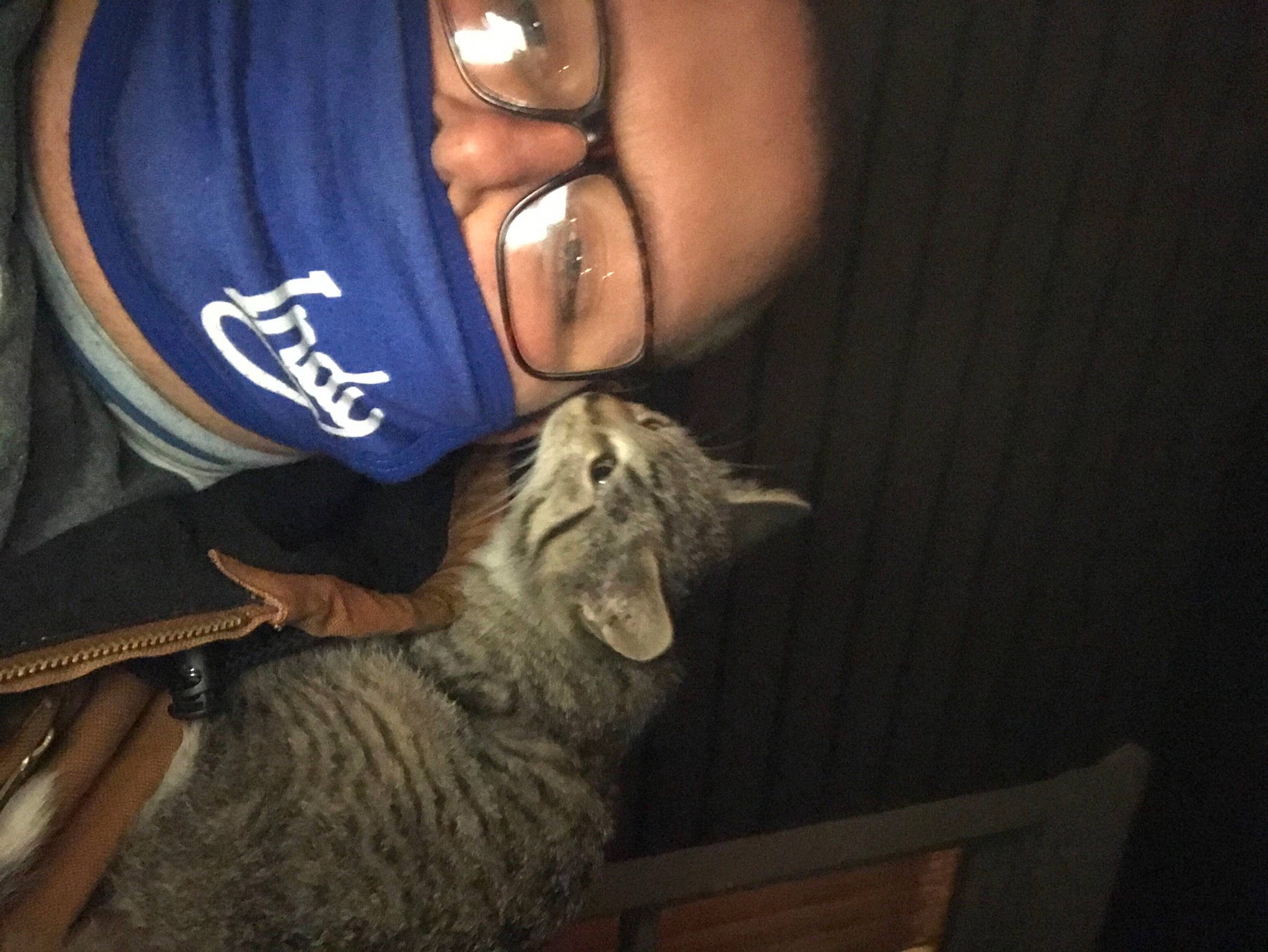 Henrietta is registered to the contest to win money with this photo: carnivore, cat, facial_expression, felidae, fur, glasses, human, laugh, mammal, small_to_medium_sized_cats, tooth, vertebrate, whiskers