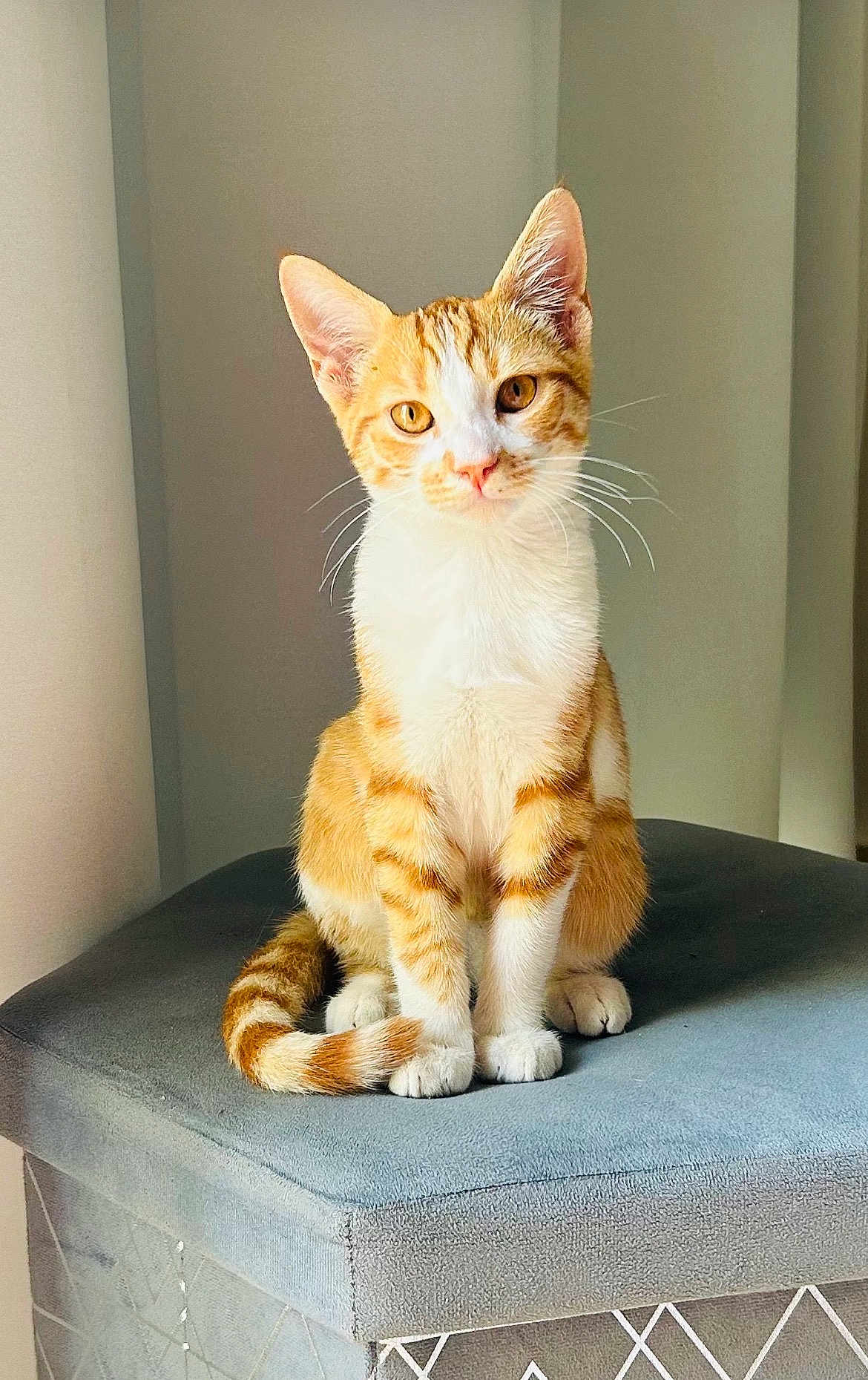 Bernard