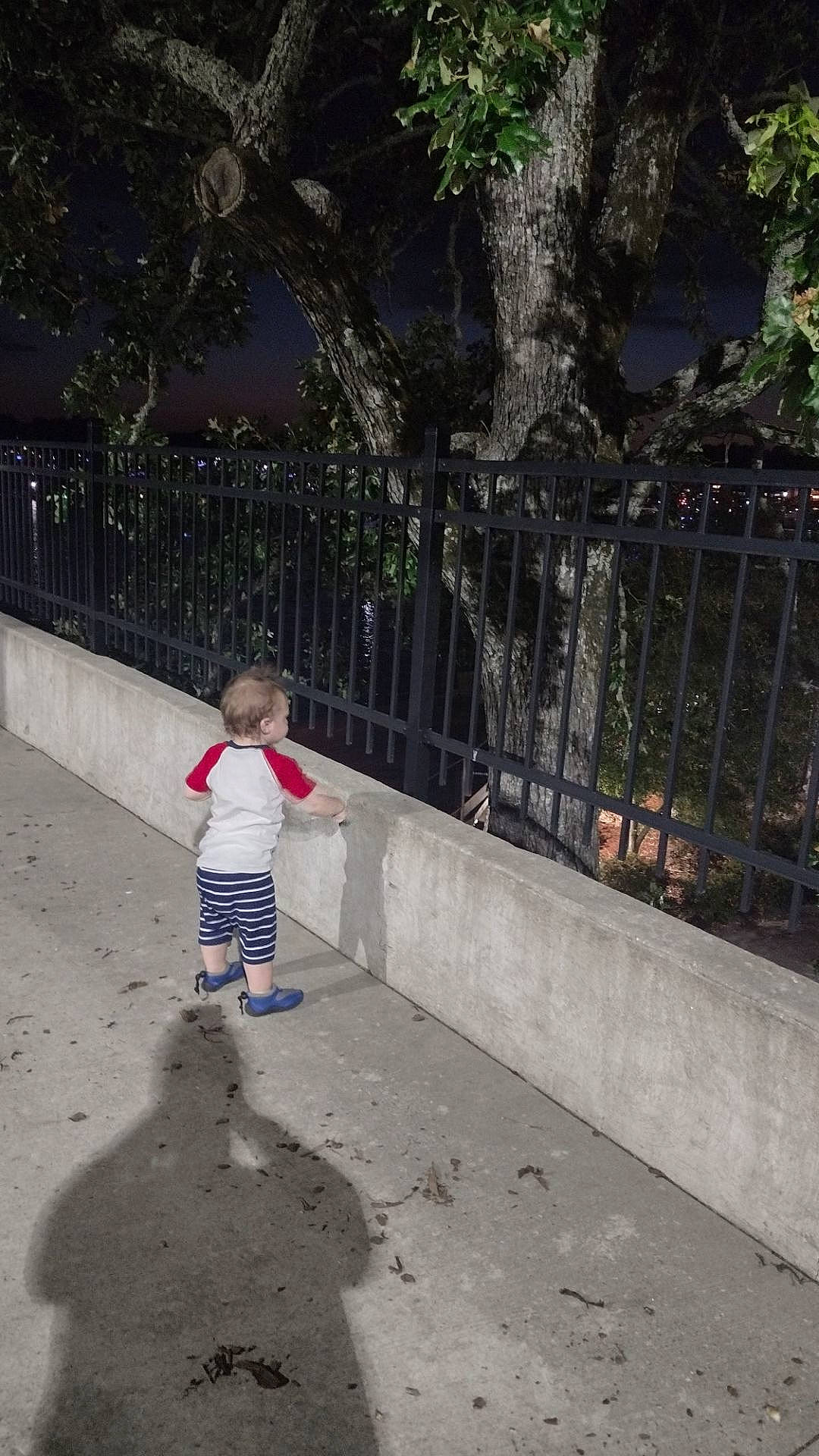 Odin is registered to the contest to win money with this photo: asphalt, city, fence, fun, grass, home_fencing, leg, leisure, pedestrian, person, plant, recreation, road, road_surface, shadow, shorts, sidewalk, street, tints_and_shades, toddler