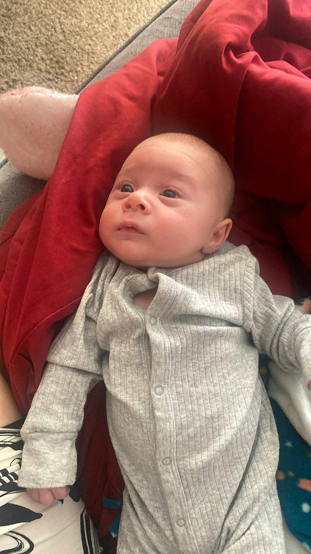 Nio is registered to the contest to win money with this photo: baby, infant, onesie, gray_clothing, red_blanket, carpet, hand, face, person, indoor, soft_texture, cozy, cute, newborn, child, sleepwear, portrait, expression, looking_up, resting