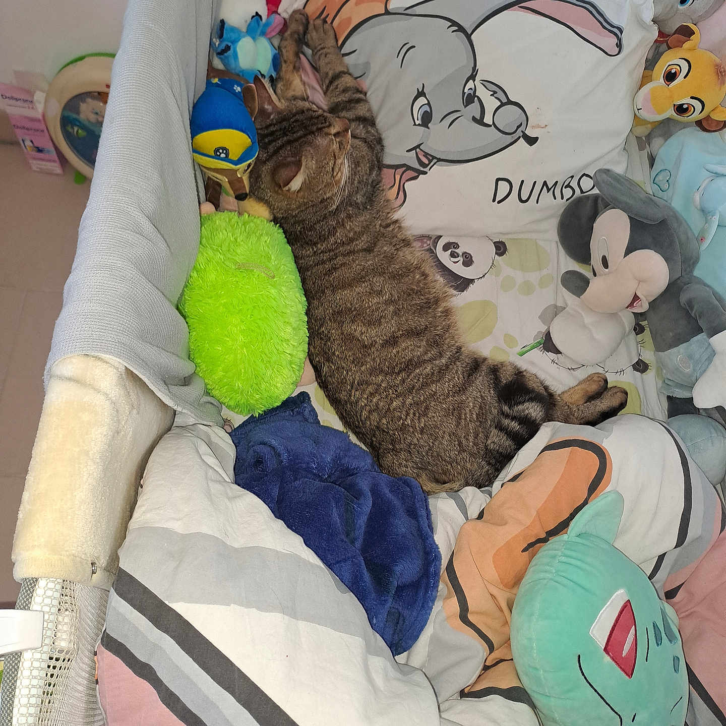Simba