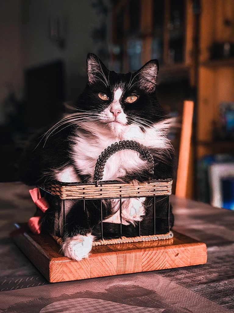 Léonie