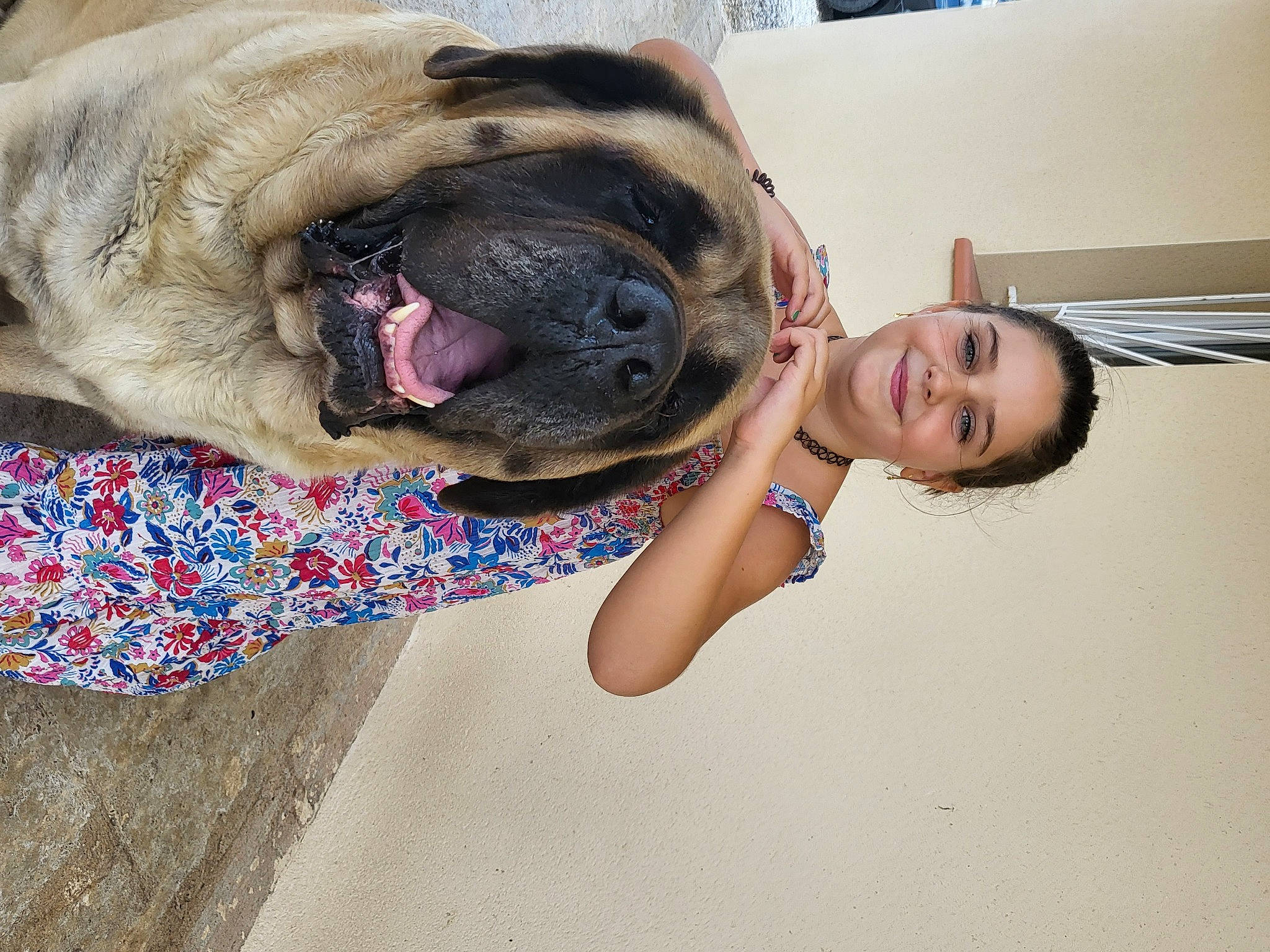 Marley a rejoint le concours — aidez-le/la à gagner de superbes lots ! canidae, carnivore, collar, comfort, companion_dog, dog, dog_breed, dog_collar, fawn, fur, guard_dog, happy, molosser, non_sporting_group, selfie, smile, sporting_group, sunglasses, whiskers, wrinkle