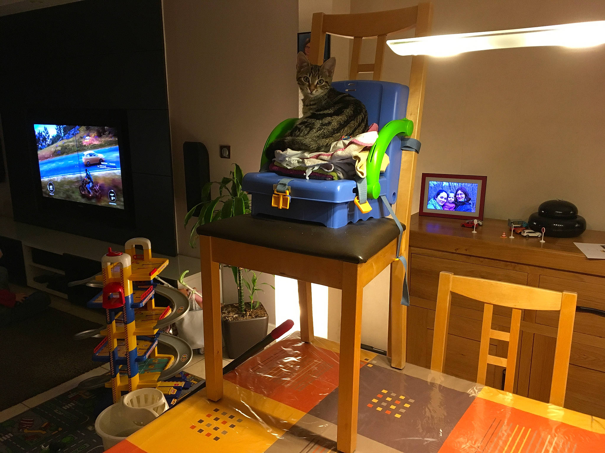 Nollie a rejoint le concours — aidez-le/la à gagner de superbes lots ! desk, desktop_computer, display_device, electronic_device, electronics, furniture, gadget, interior_design, joy, media, multimedia, person, personal_computer, play, recreation_room, room, table, technology, television