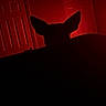 dog, silhouette, pointy_ears, red_lighting, darkness, indoor, bedroom, door, wall, shadow, portrait, night, dramatic, moody, backlit, mystery, animal, head, ears, low_light