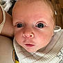 Stanley is registered to the contest to win money with this photo: baby, infant, face, eyes, bib, clothing, person, arm, dog, pet, floor, wooden_floor, close_up, curious, indoors, skin, head, expression, human, young