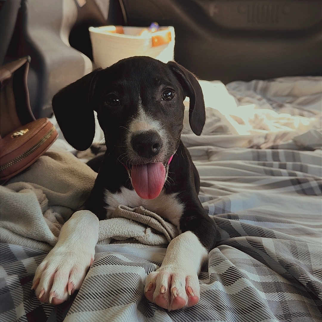 Winnie