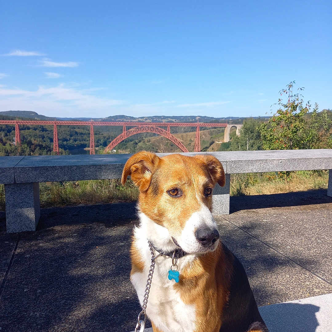 Julio