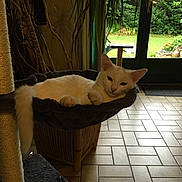 Flocon participe au concours pour gagner de l'argent avec cette photo :