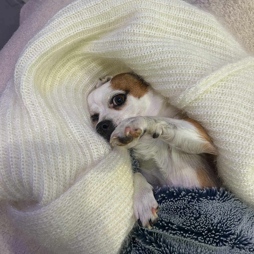 Poupette