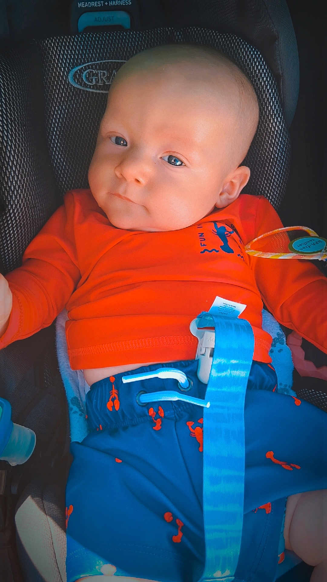 Jameson is registered to the contest to win money with this photo: baby, child, car_seat, orange_shirt, blue_shorts, lobster_pattern, blue_eyes, infant, seatbelt, clothing, baby_boy, casual, cute, indoor, portrait, seat, safety_harness, young_child, infancy, resting