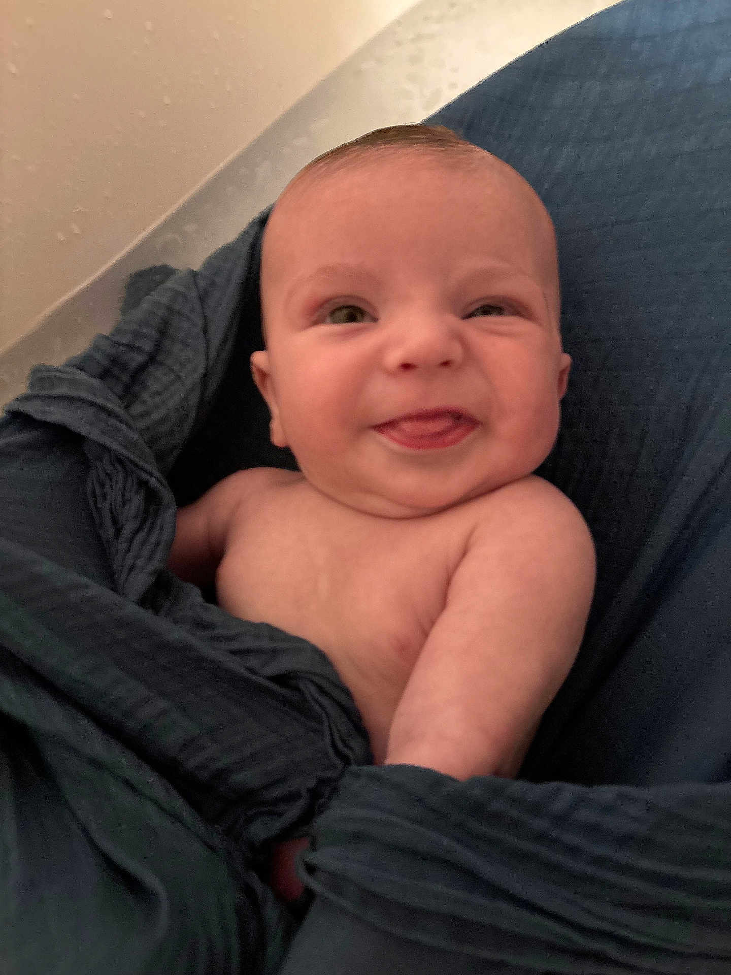 Bodhi