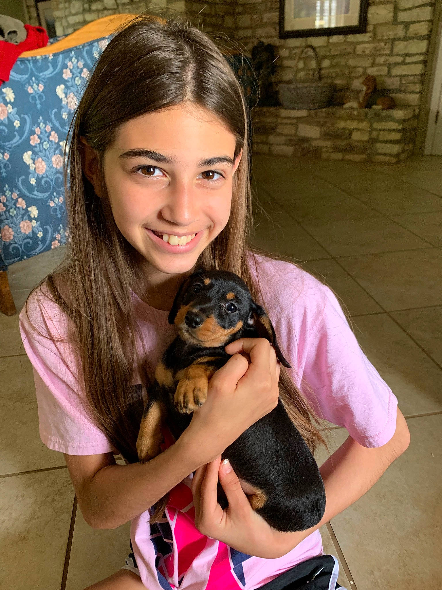 Lola joined the competition — help win amazing prizes! black_hair, canidae, carnivore, companion_dog, dachshund, dog, dog_breed, fawn, long_hair, miniature_pinscher, puppy, puppy_love, russkiy_toy, skin, smile