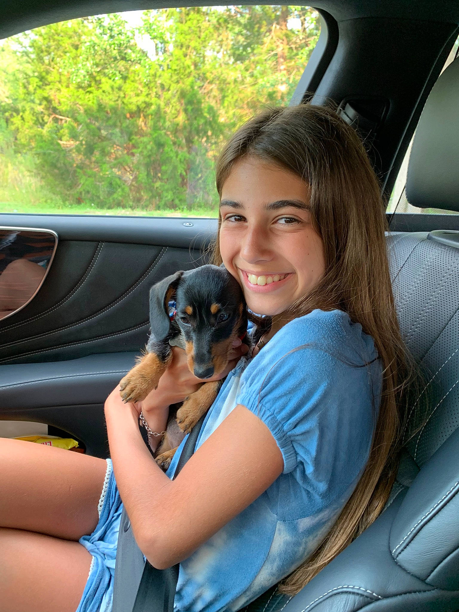 Lola joined the competition — help win amazing prizes! canidae, car, car_seat, carnivore, companion_dog, dog, dog_breed, driving, fawn, vehicle, vehicle_door