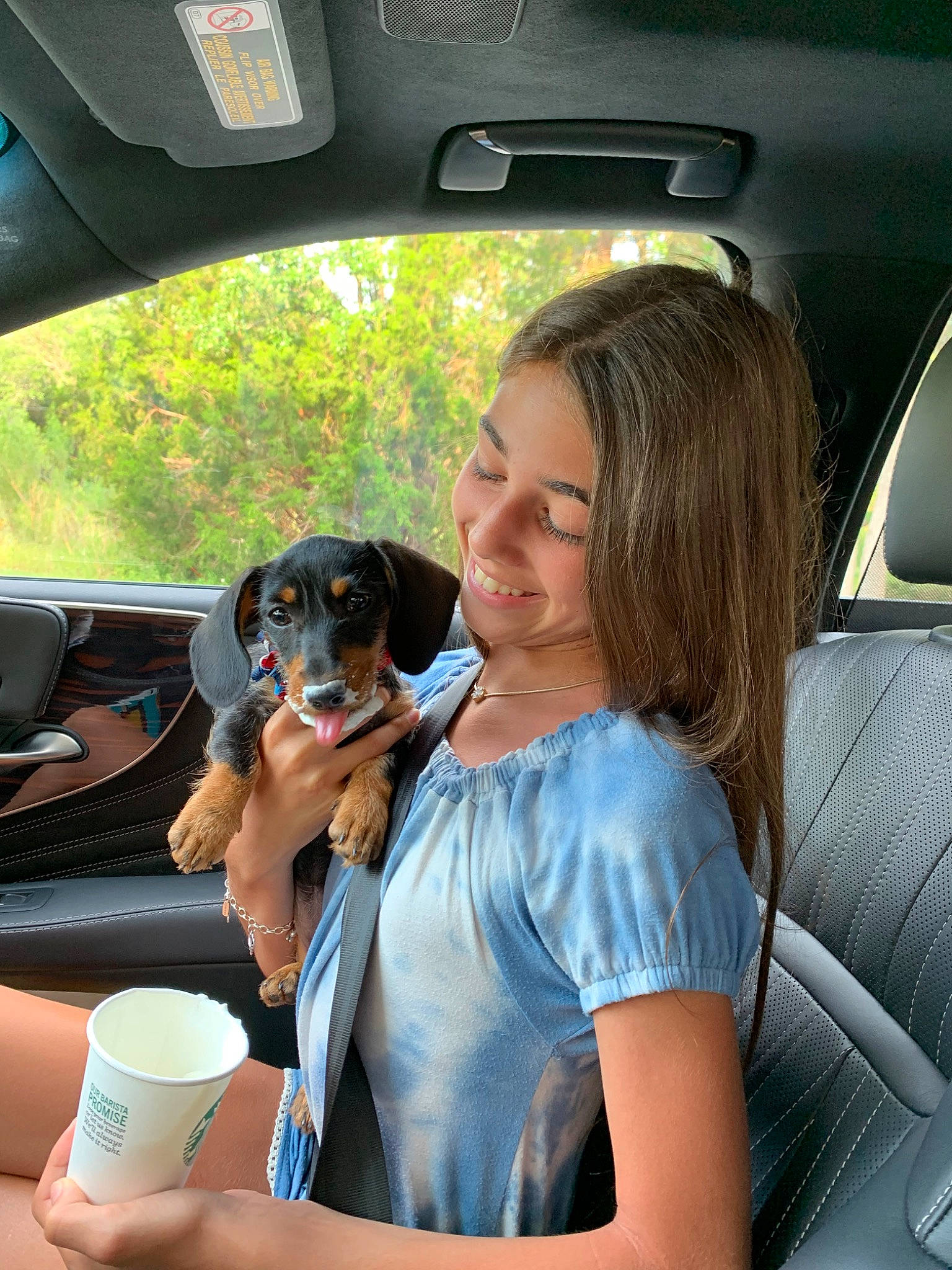 Lola joined the competition — help win amazing prizes! auto_part, automotive_window_part, canidae, car, car_seat, carnivore, companion_dog, dog, dog_breed, driving, guard_dog, long_hair, vehicle, vehicle_door