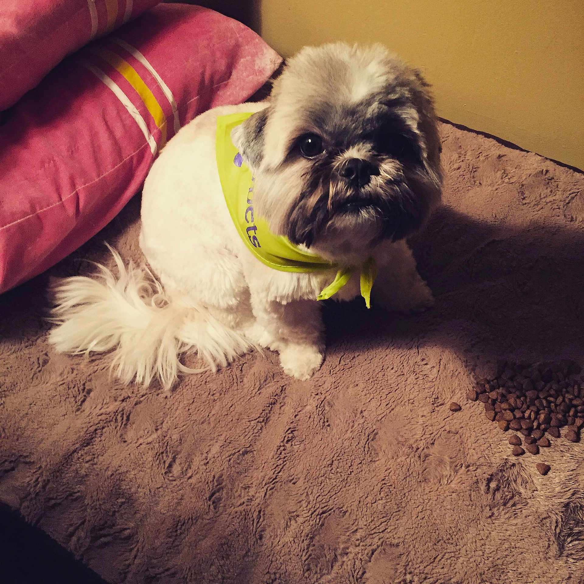 Jax