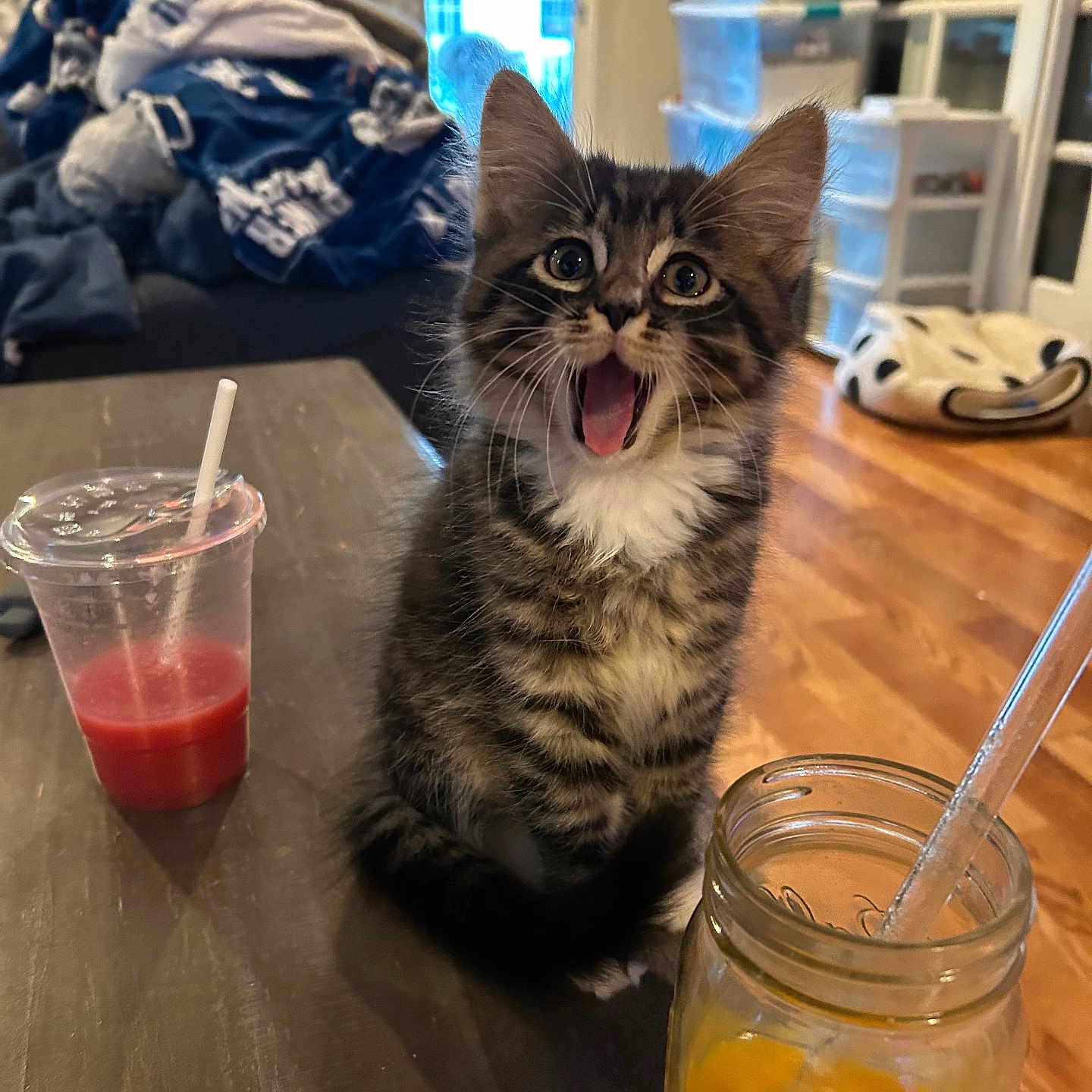 Cosmo