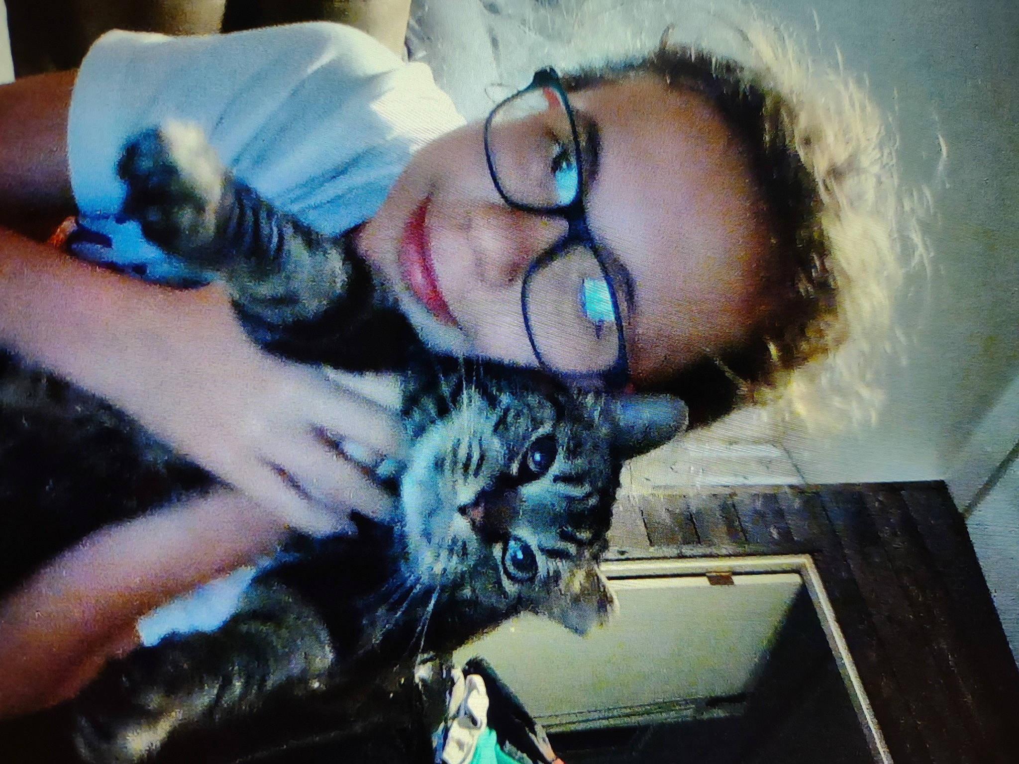 Capelli Corte joined the competition — help win amazing prizes! beard, black_hair, carnivore, cat, comfort, domestic_short_haired_cat, eyewear, felidae, fun, fur, gesture, glasses, happy, jaw, long_hair, selfie, small_to_medium_sized_cats, snout, vision_care, whiskers