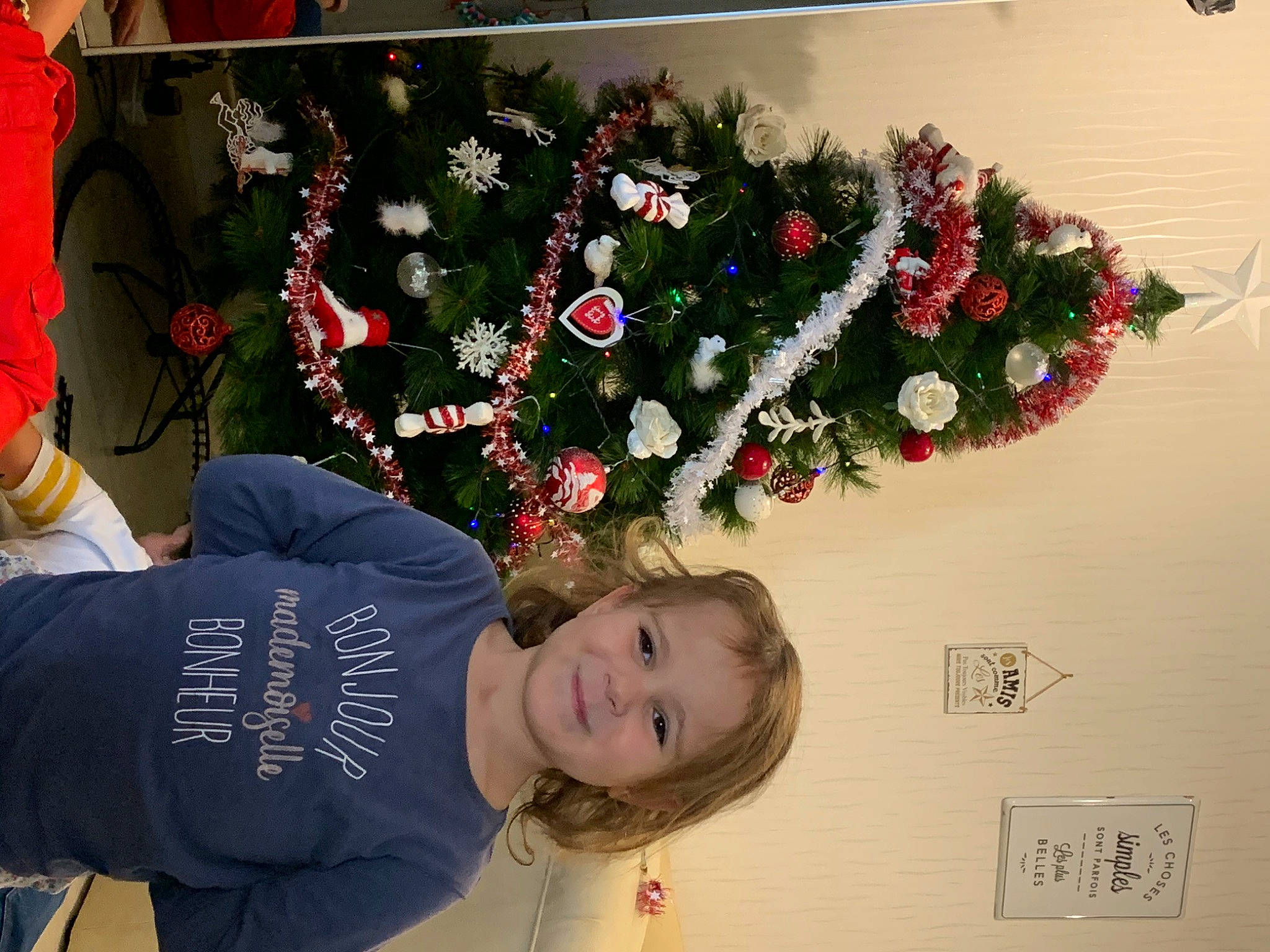 Mia a rejoint le concours — aidez-le/la à gagner de superbes lots ! blurred, christmas, christmas_decoration, christmas_eve, christmas_ornament, christmas_tree, conifer, event, evergreen, floral_design, happy, holiday, holiday_ornament, interior_design, joy, ornament, person, plant, red, room