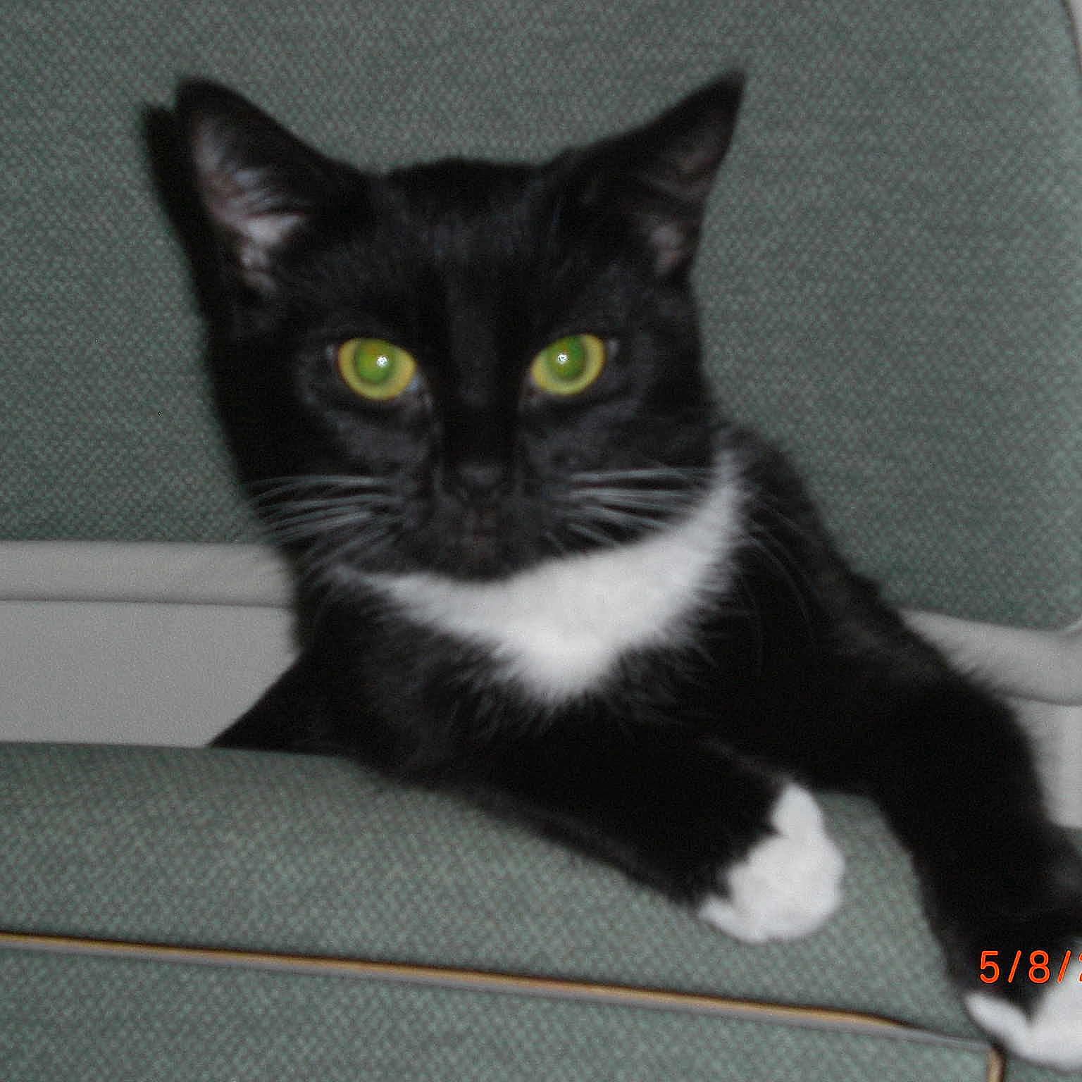 Thula joined the competition — help win amazing prizes!