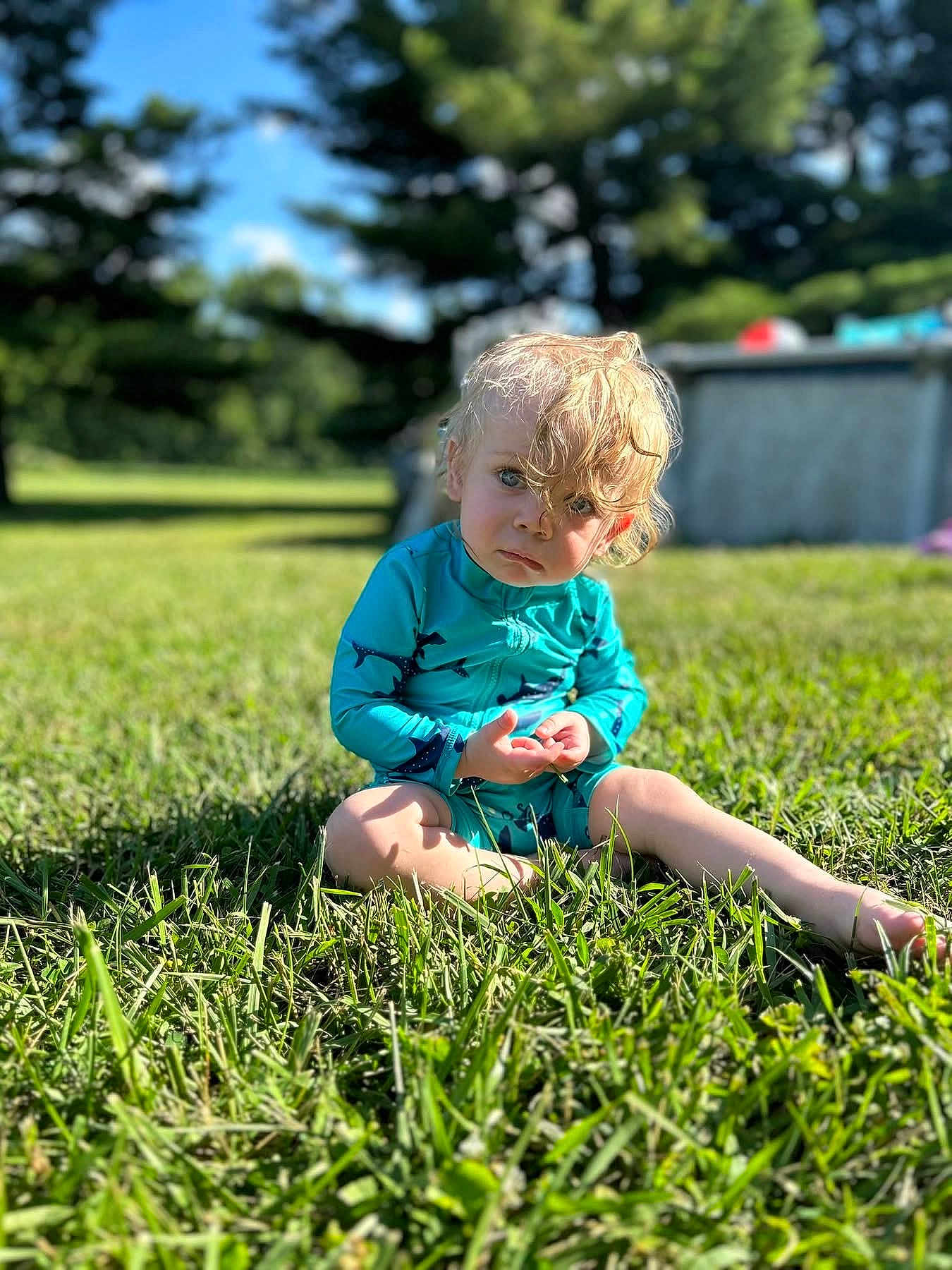 Cohen is registered to the contest to win money with this photo: toddler, child, grass, outdoor, sunlight, blue_sky, trees, swimsuit, blond_hair, curly_hair, sitting, greenery, nature, summer, portrait, young_child, casual, daylight, playful, expression