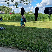 Cohen is registered to the contest to win money with this photo: toddler, child, football, grass, outdoor, sky, clouds, cornfield, laundry, clothing, tree, nature, play, summer, greenery, sunlight, backyard, person, casual, daytime