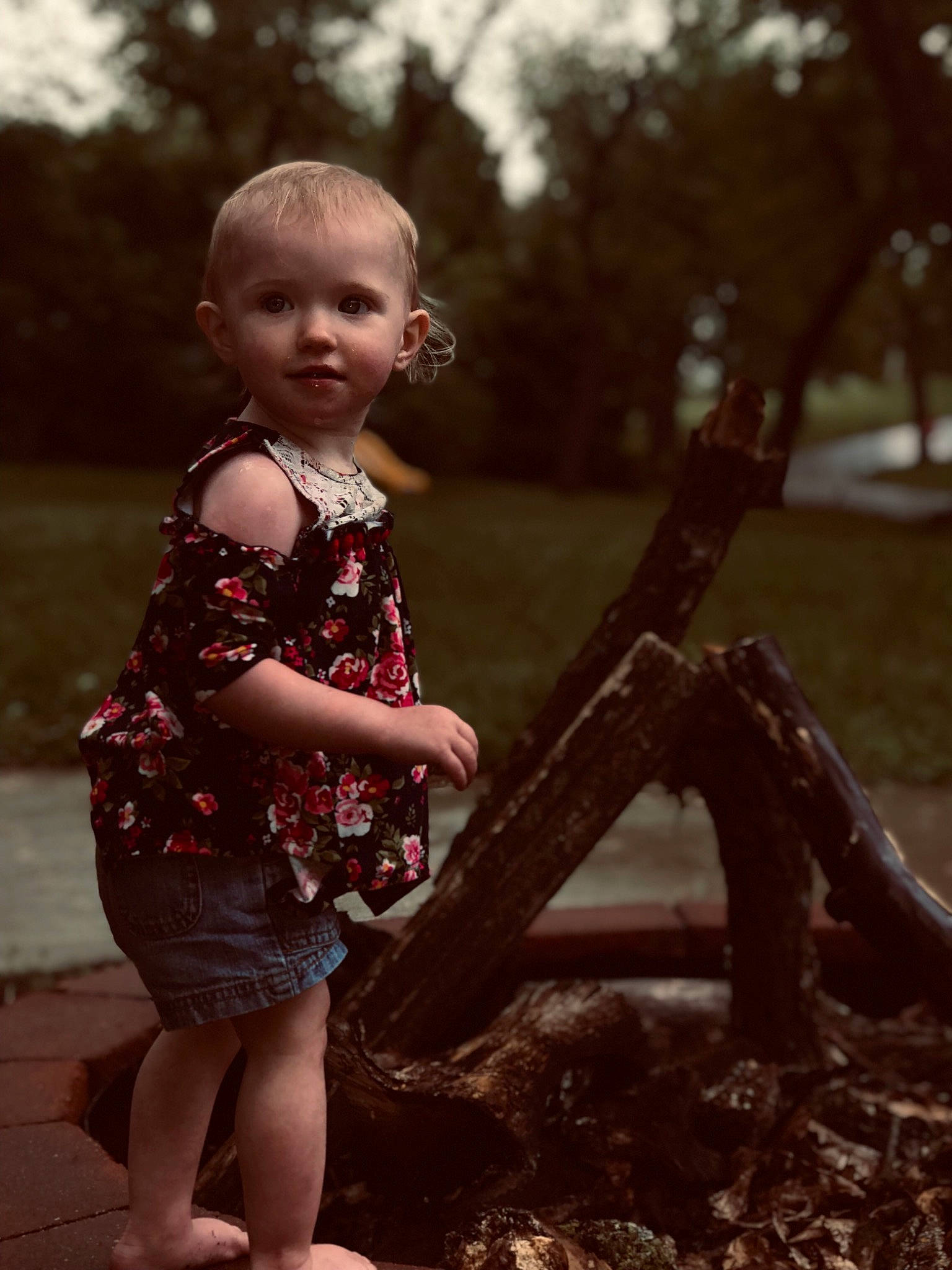 Hazleigh joined the competition — help win amazing prizes! adaptation, baby, beauty, child, dress, eye, fun, grass, leaf, people, person, photograph, photography, play, sitting, smile, standing, summer, toddler, tree