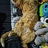 cat, ginger_cat, sleeping, plush_toys, bedspread, indoor, sunlight, soft_toys, unicorn, monster_toy, cozy, feline, resting, cute, animal, pet, fur, relaxed, toy_collection, comfort