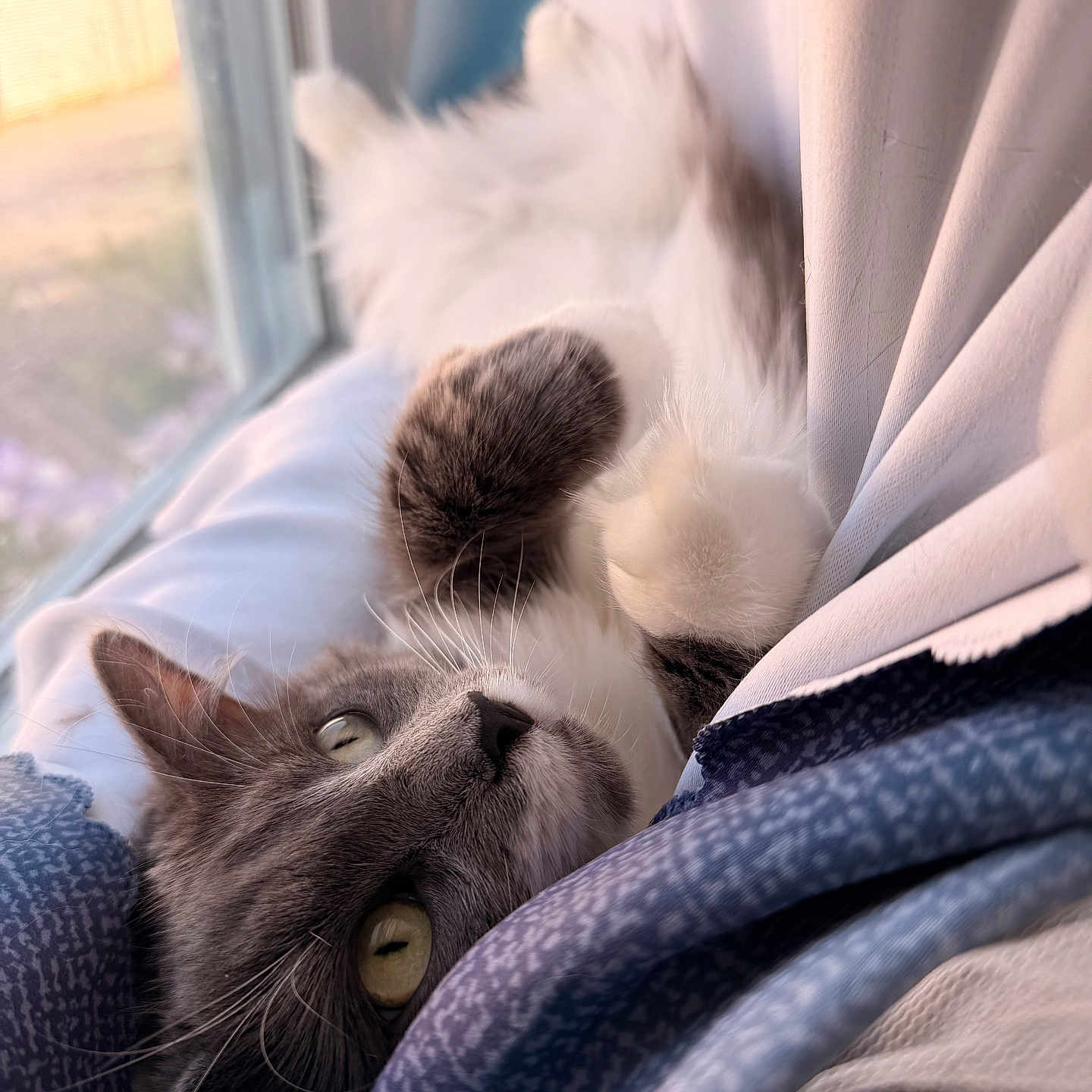 Jinx