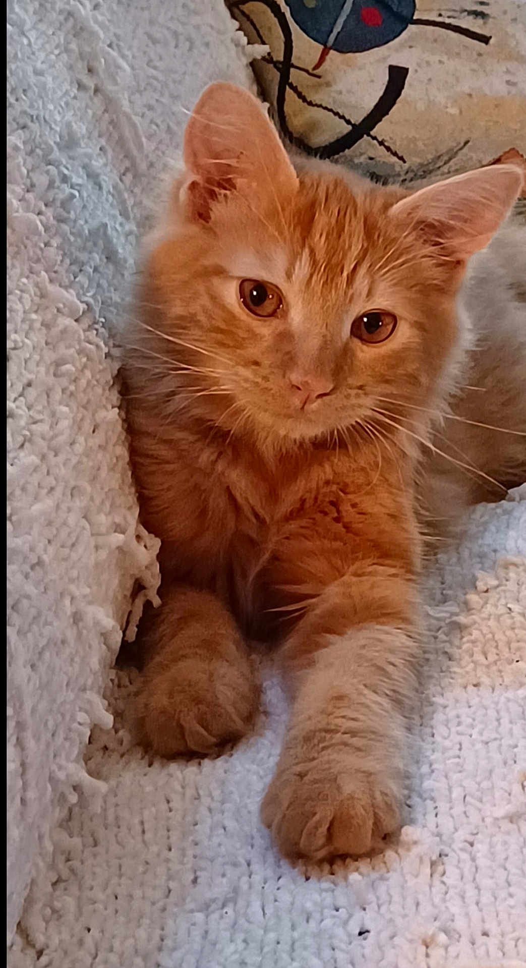 Merlin