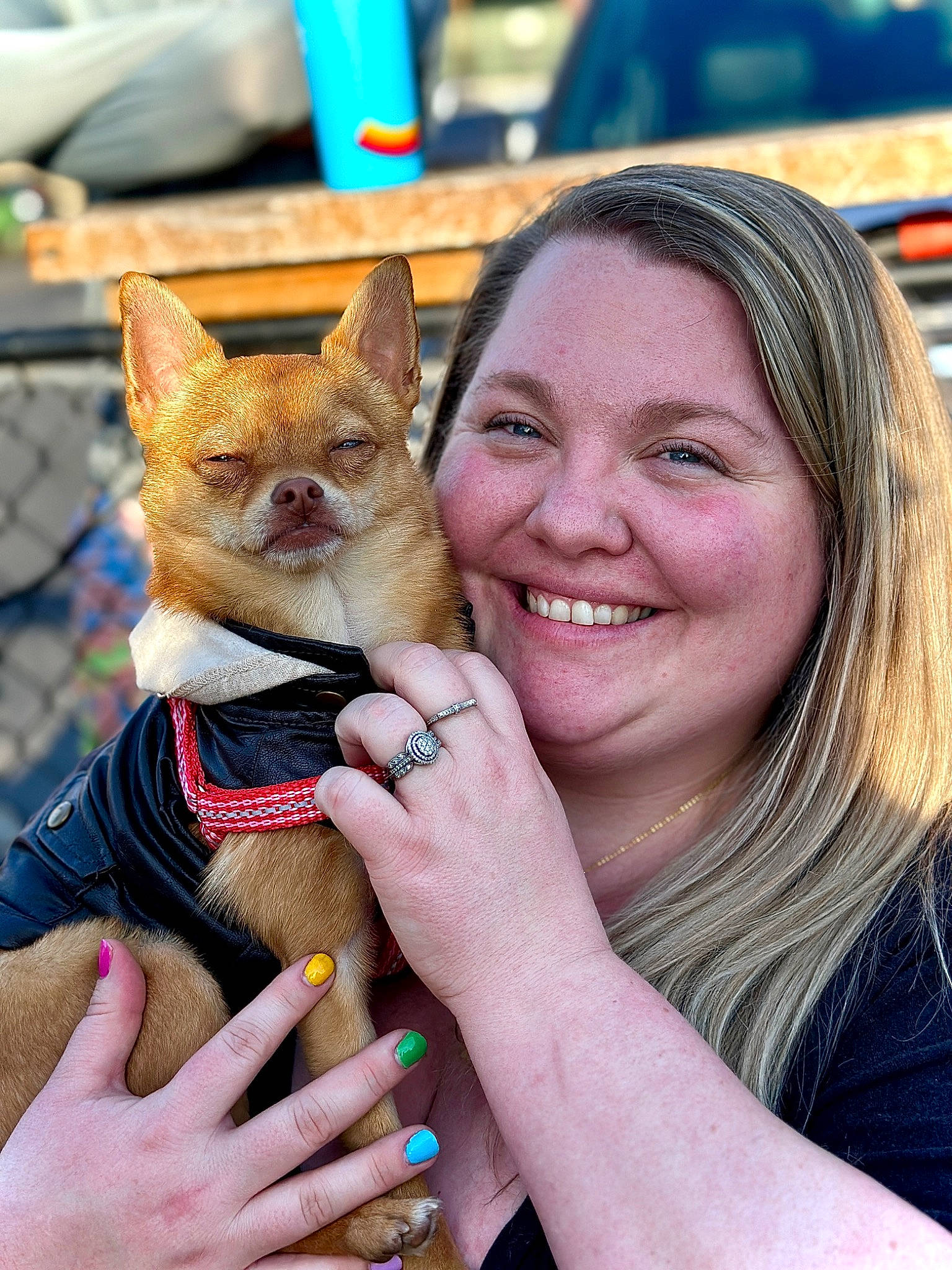 Elliot joined the competition — help win amazing prizes! blue, carnivore, companion_dog, dog_breed, event, fawn, felidae, fun, fur, gesture, grass, hand, happy, mammal, nail, smile, snout, terrestrial_animal, whiskers, wildlife